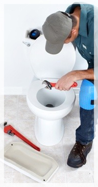 toilet professional plumber
